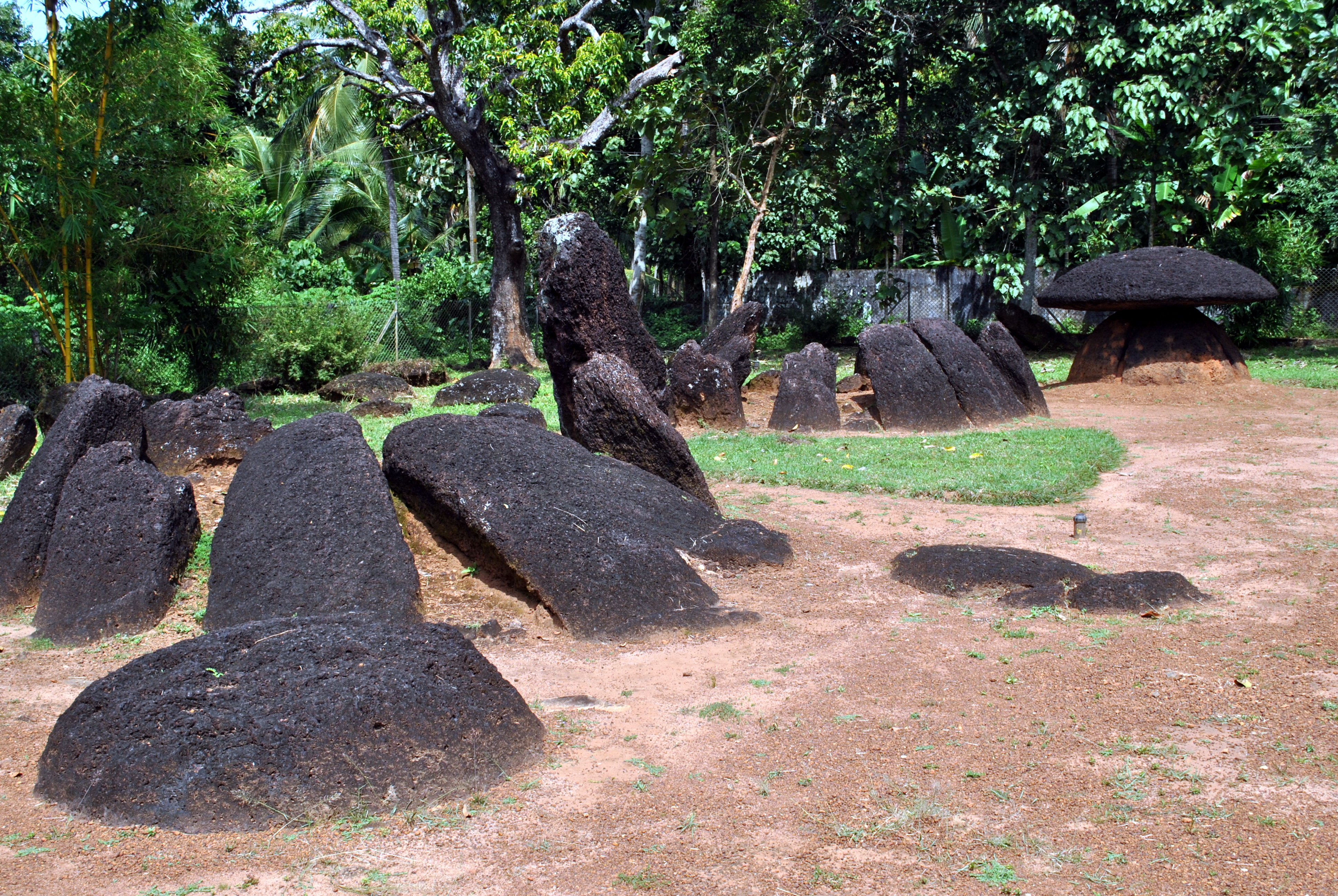 Beautiful View of 
Ariyannur Stone Umbrellas Thrissur