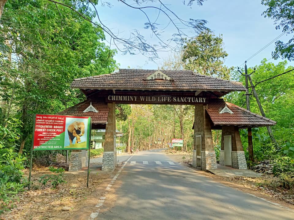 Chimmini Wildlife Sanctuary Thrissur