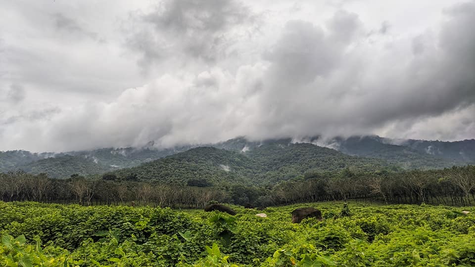 Chimmini Wildlife Sanctuary