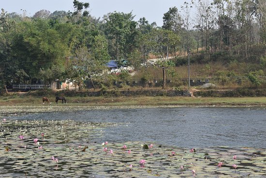 Poomala Dam Thrissur in kerala