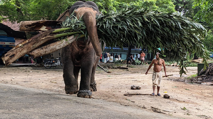 Punnathurkotta Thrissur in kerala