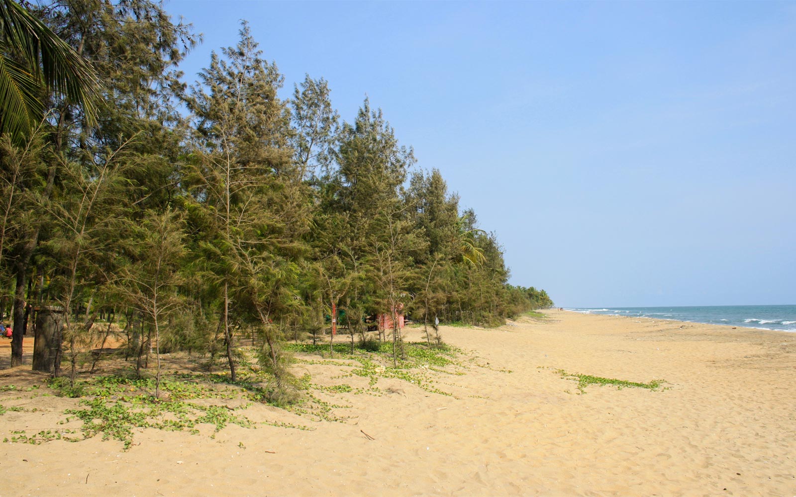 Sandy Beach in Thrissur