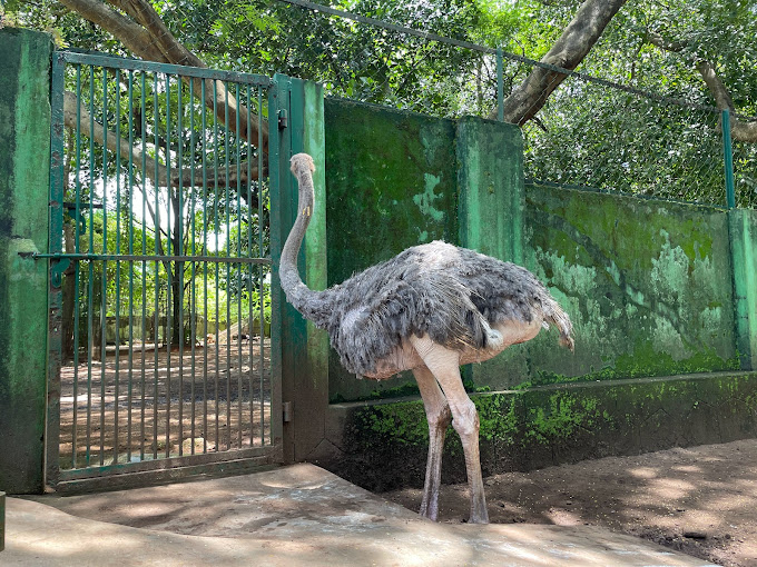 Thrissur Zoo and Museum Transpotation