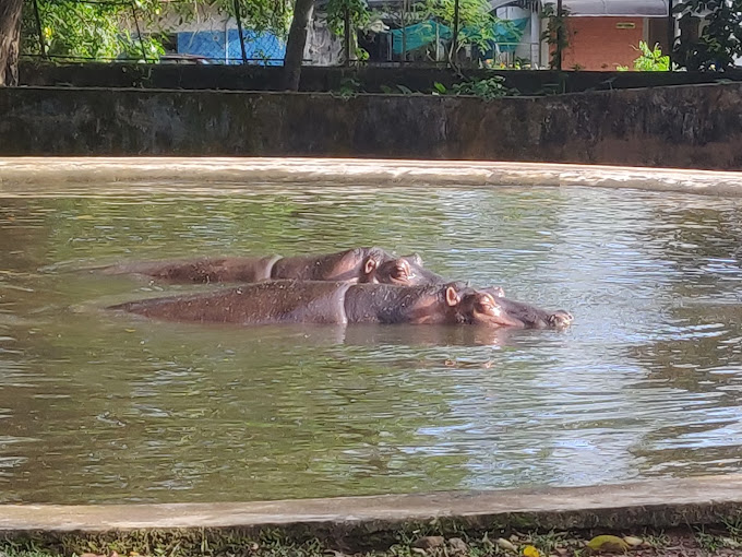 Thrissur Zoo and Museum Activities