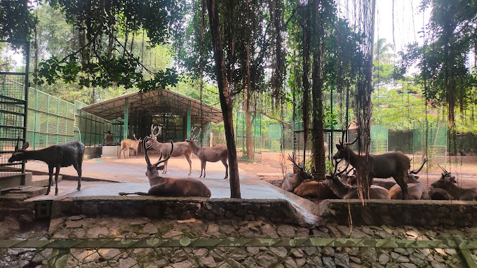 Thrissur Zoo and Museum