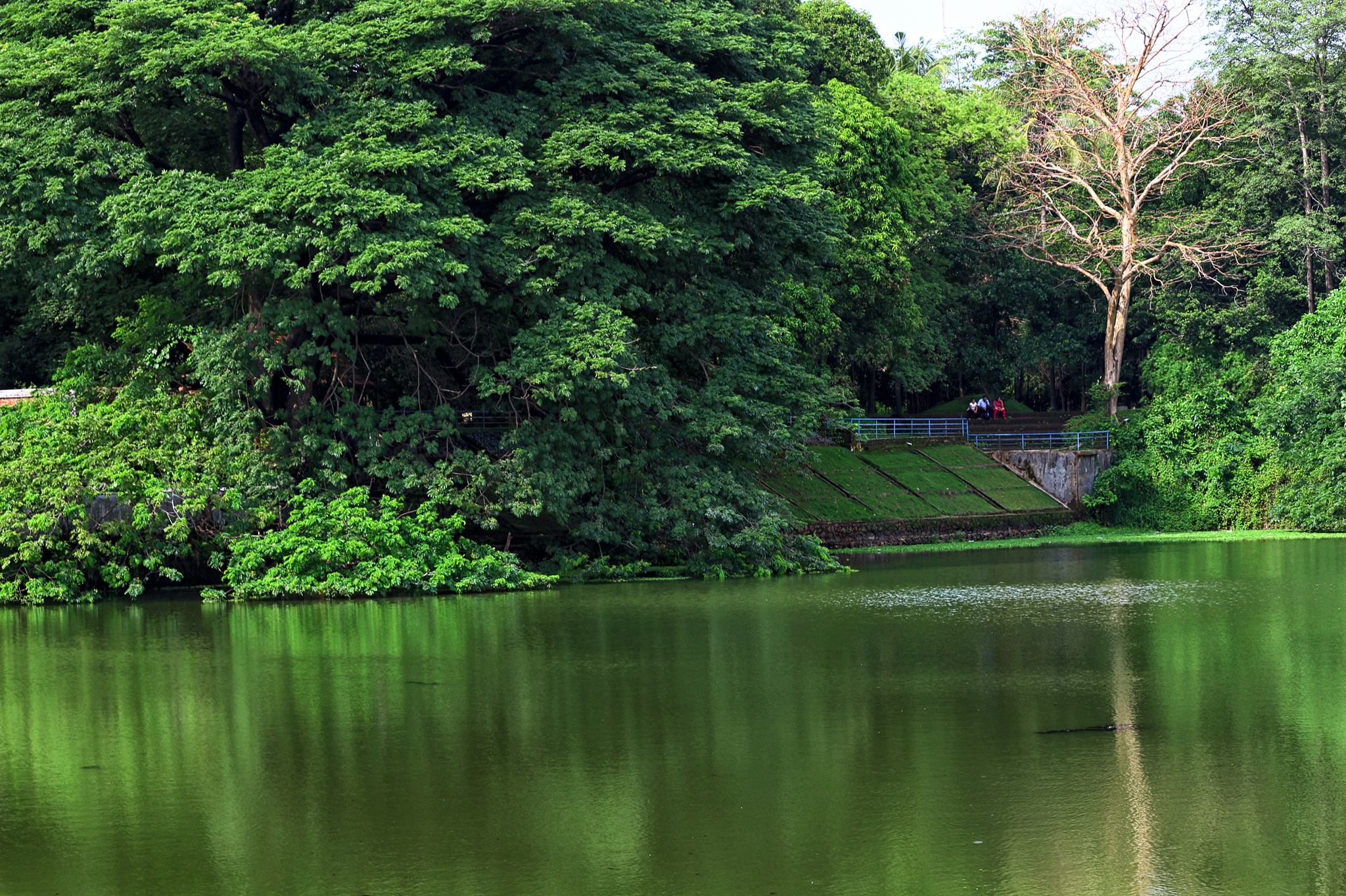 Vadakkechira Pond Thrissur