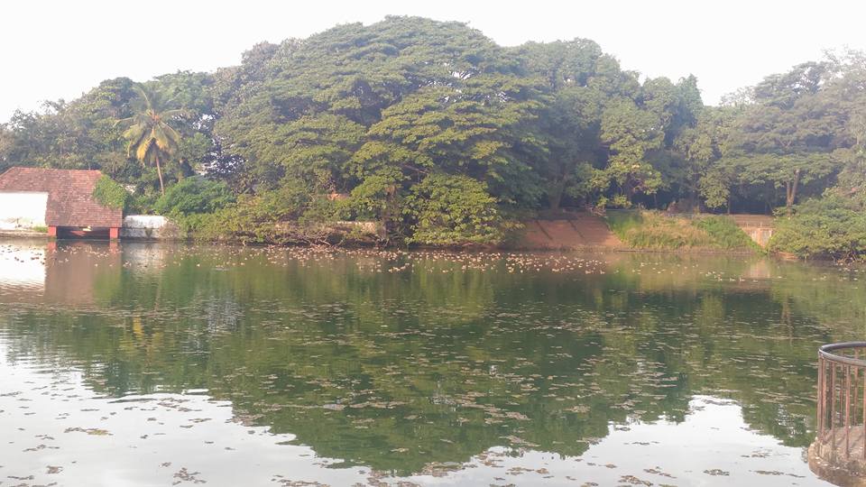 Beautiful View of 
Vadakkechira Pond Thrissur