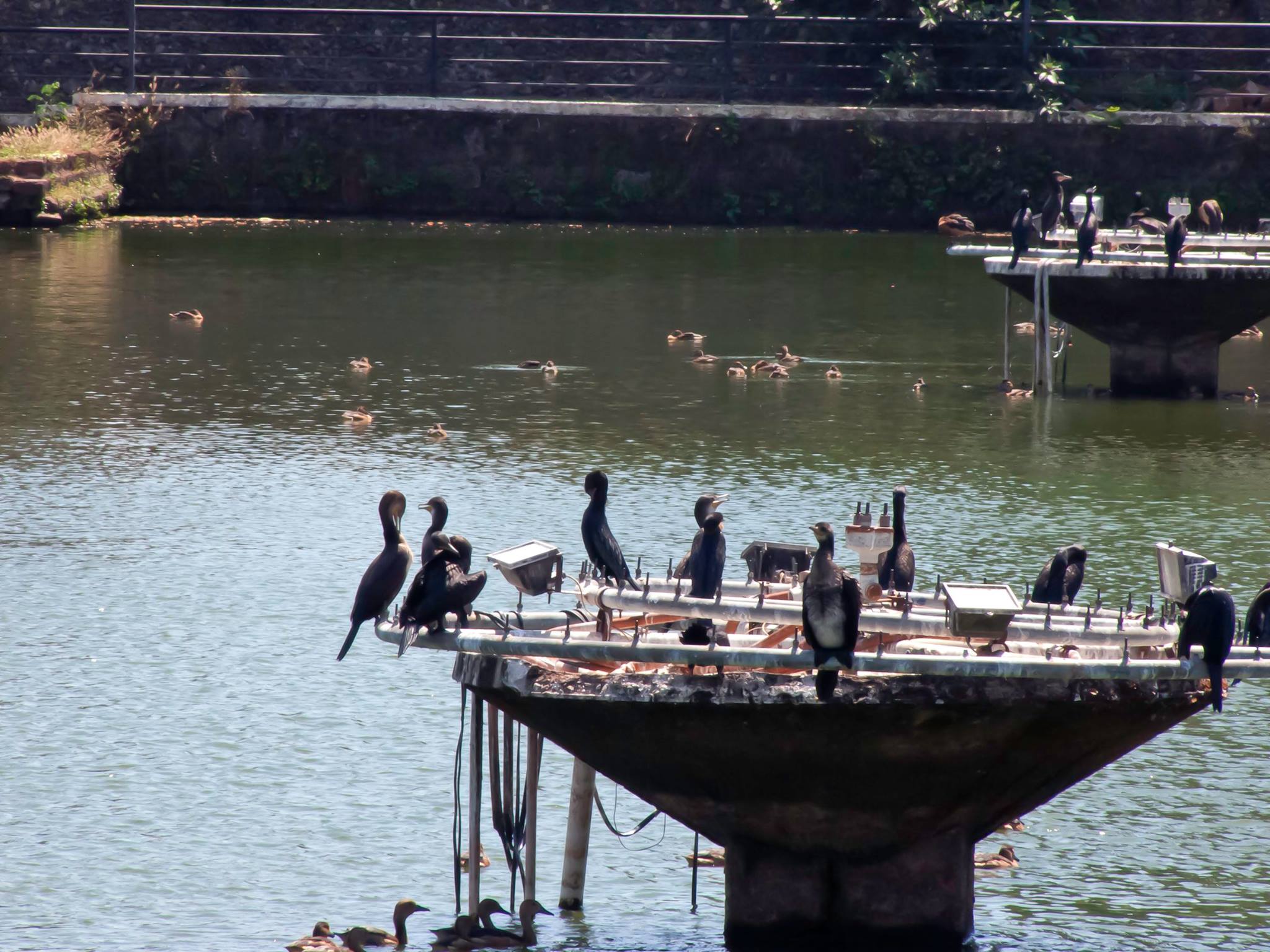 Oldest Pond in Thrissur