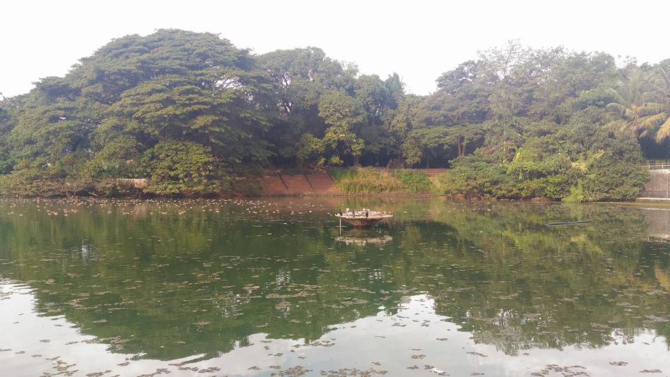 Vadakkechira Pond in Kerala